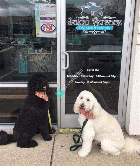 salon versace dog wash & grooming|Versace dog grooming va beach.